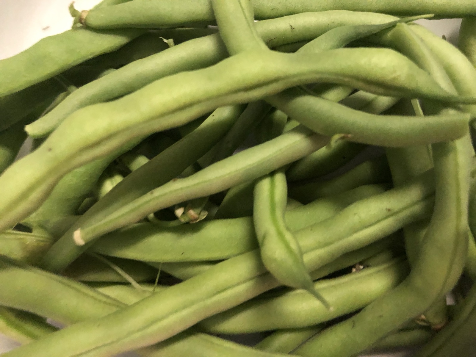 Catering presentation